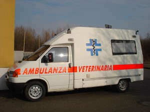 ambulanza veterinaria
